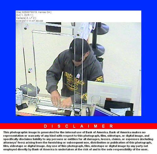 Bank of America Robber