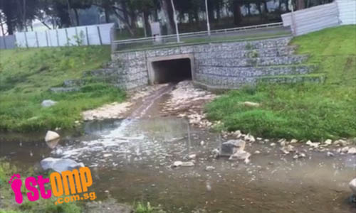 Bishan Park canal filled with stinking liquid discharge-data