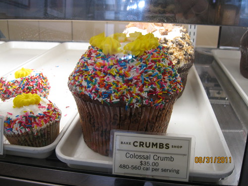 8/31/11: Tiny cupcake, BIG CUPCAKE