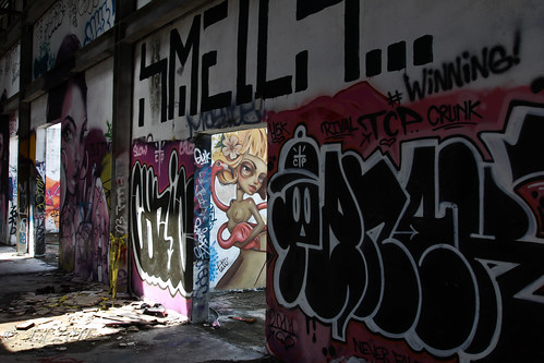 The Graffiti Palace II by photomyhobby