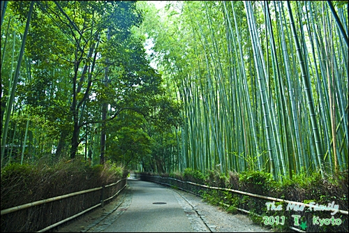 嵐山-竹林小路