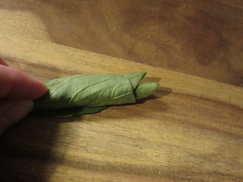 rolled up basil leaves