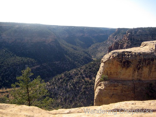 15 Petroglyph Point Trail - Mesa Verde National Park - Colorado 11