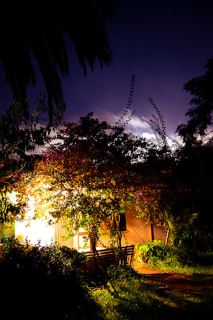 Noche en el Jardín II