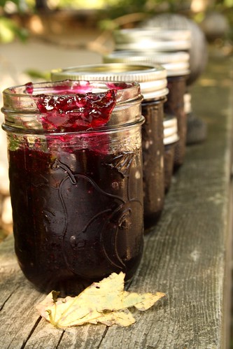 We Sure Can's Vanilla Blueberry Jam