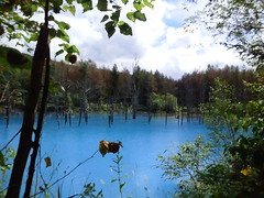 青い池、アルミニウムが溶け込んで青いそうです。