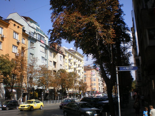 Dense Urban Street in Sofia, Bulgaria