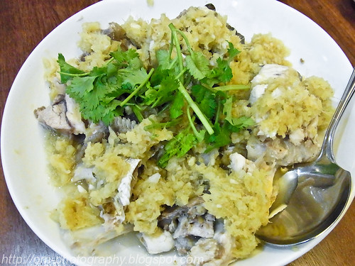 steamed grouper fish head with minced ginger R0014462 copy