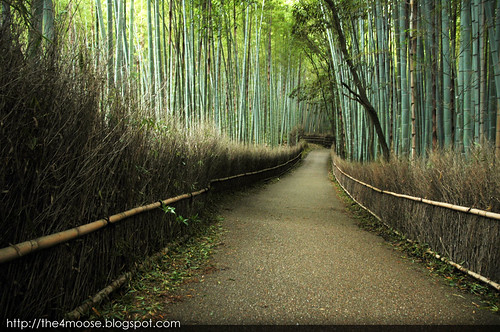 Arashiyama 嵐山 - Bamboo Groves