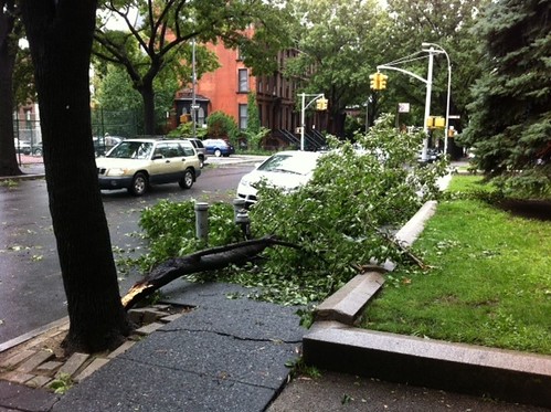 Hurricane Irene in Brooklyn