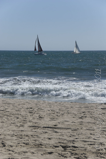 D1 venice beach sail boats