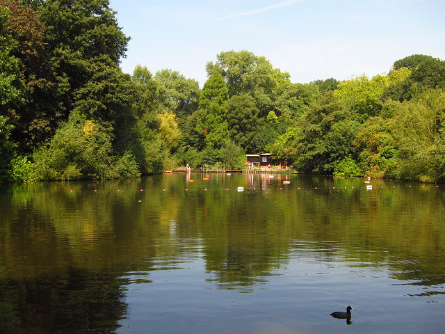 The Mixed Bathing Pond, Hampstead Heath