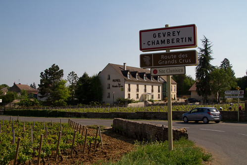 Route des Grand Crus 20110426-IMG_8524