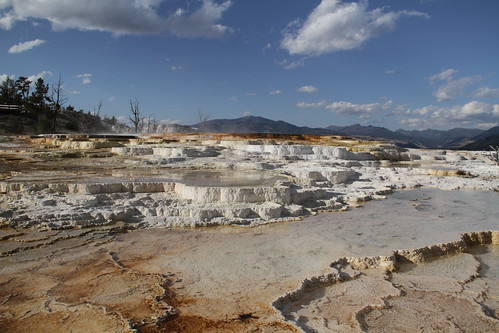Yellowstone with Pa 292