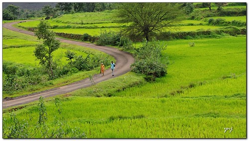 Walk along the Curvy road in heaven by Yogendra174