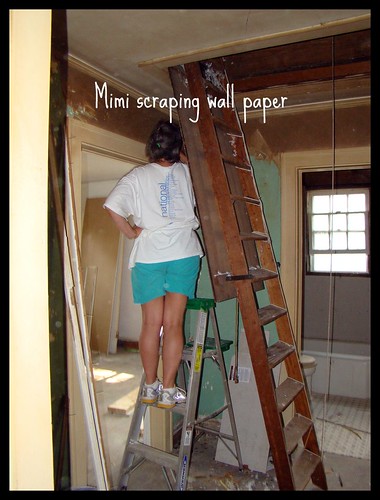Mimi scraping the wallpaper