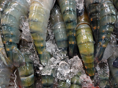 Thailand 22 Market sea food shrimps