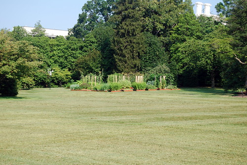 Weekend - White House Vegetable Garden