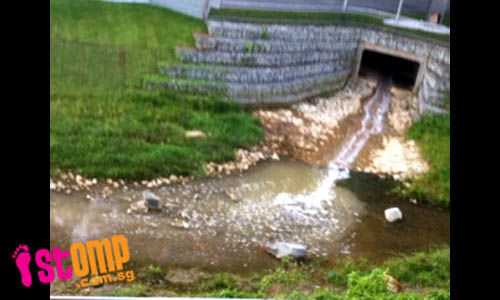 Bishan Park canal filled with stinking liquid discharge