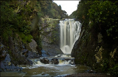 Piroa Falls, Waipu Gorge Scenic Reserve