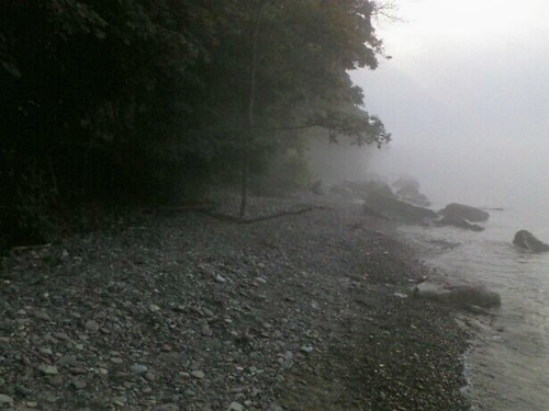 foggy lake1