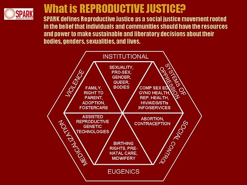 What Is Reproductive Justice?