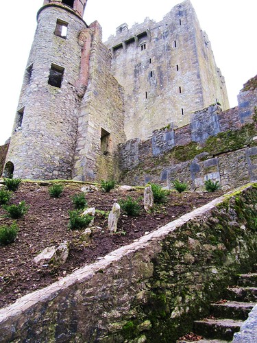 Blarney Castle surrounded by beautiful plants and shrubbery. Bridget Driscoll, University College Cork, Spring 2011.