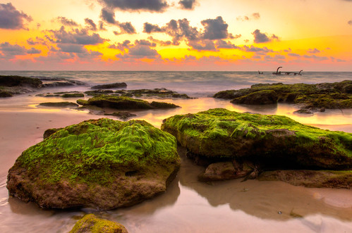 フリー写真素材|自然・風景|ビーチ・砂浜|海|夕日・夕焼け・日没|