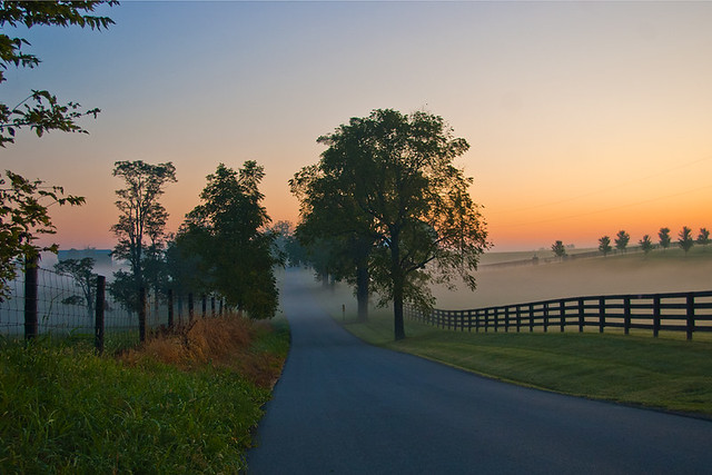 A foggy Kentucky morning.