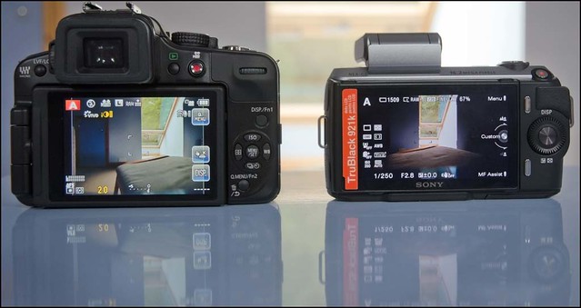 Panasonic Lumix G3 Olympus 12mm f/2 Sony NEX-C3 16mm f/2.8