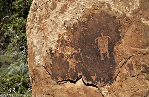 Roadside Boulder Petroglyphs