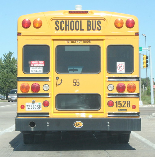 Bus Number 55