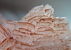 Thomsonite... (Sea Moon) Tags: white crystals mineral blades specimen radiating zeolite