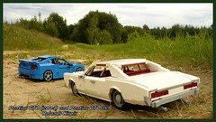 Pontiac GTO family picture