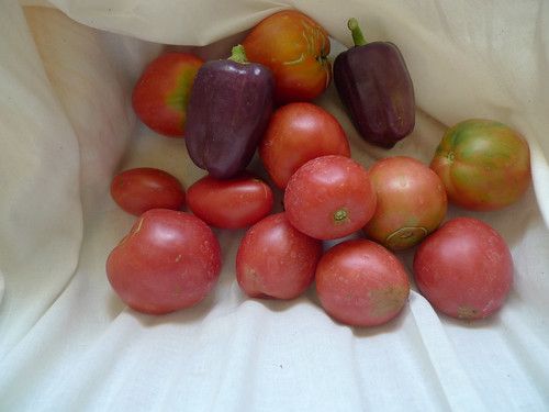 tomatoes and purple peppers