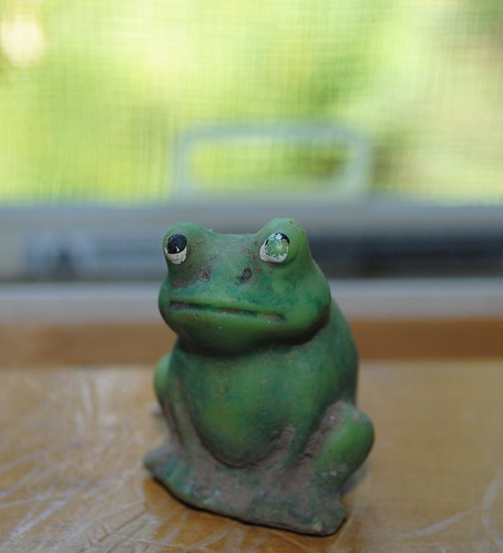House Frog