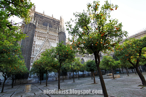 seville cathedral garden