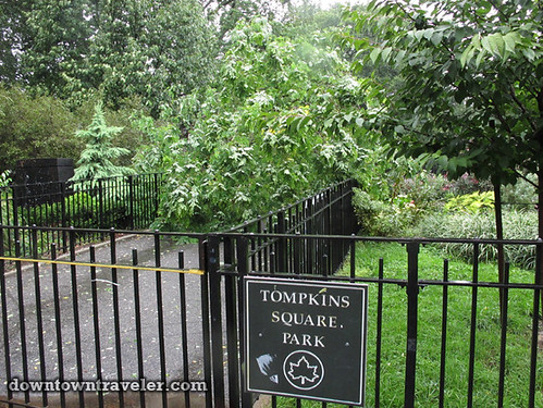 Aftermath of Hurricane Irene in NYC_Tompkins Square Park fallen tree