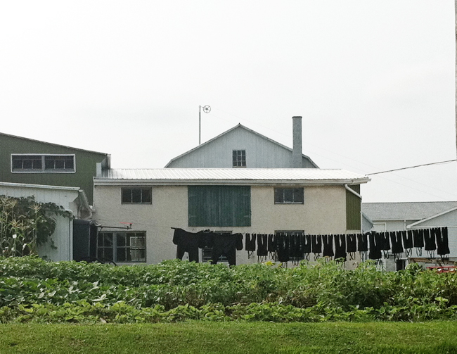 clothesline (Amish Country trip)