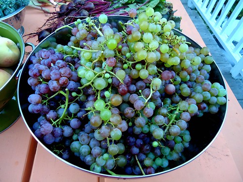 some of the grapes