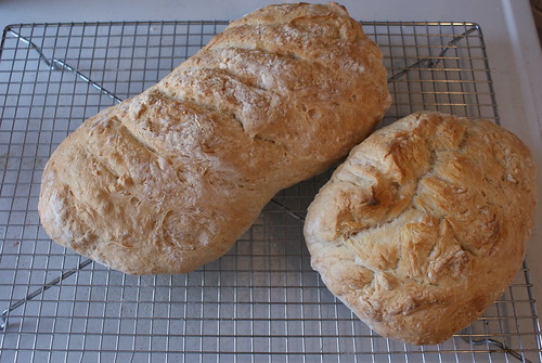 5 Minute No-Knead Bread