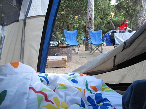 view from inside the tent