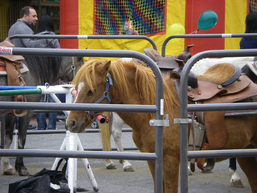 Pony Ride Employee