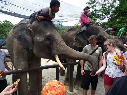 Kuala Gandah Elephant Sanctuary - happy tourists