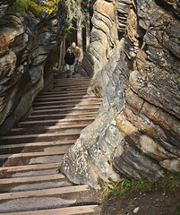 The path from Athabasca Falls.