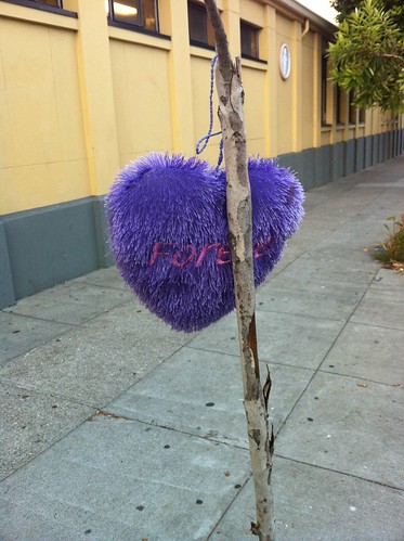 Purple heart tree