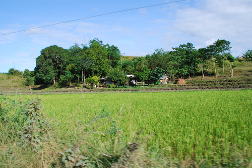Bushman In The Philippines: Santo Nino, Part 1
