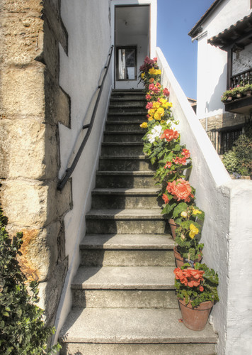 Stairs and flowers. Santillana del Mar. Spain. Escaleras y flores.