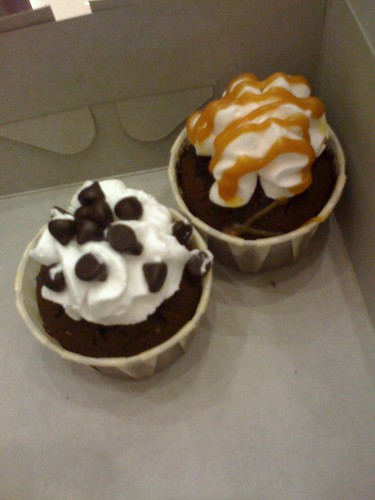 Chocolate cupcake with chocolate chip topping and caramel topping.
