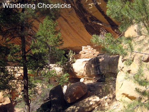 15 Petroglyph Point Trail - Mesa Verde National Park - Colorado 6